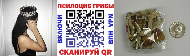 Галлюциногенные грибы MAGIC MUSHROOMS  купить   это клад  Буйнакск 